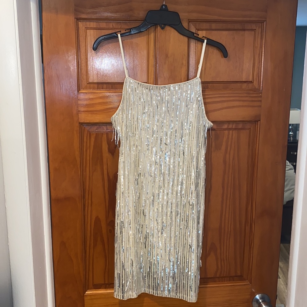 Sparkly white and silver dress